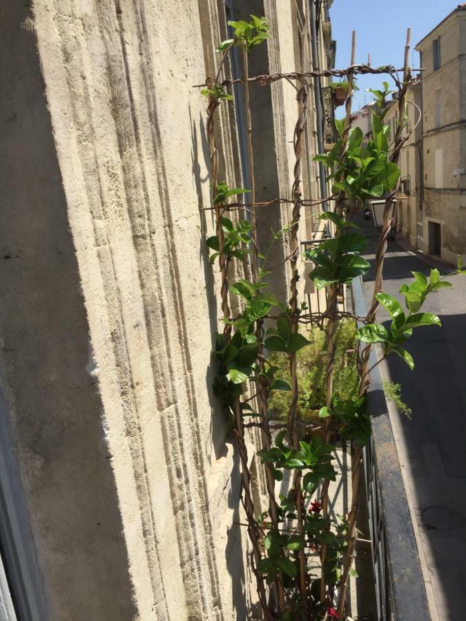 Chez Noelle Et Emmanuel Lägenhet Montpellier Exteriör bild